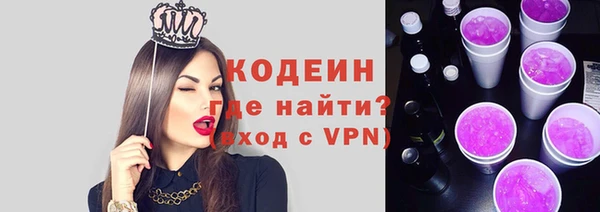 индика Балахна