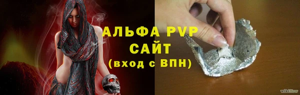 индика Балахна
