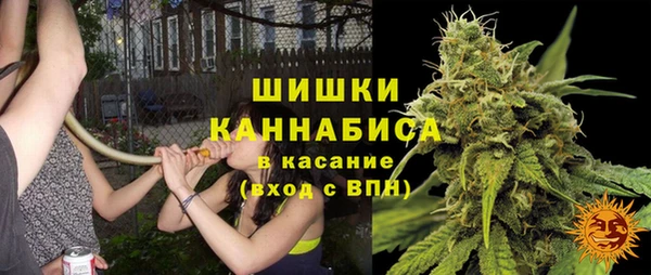 индика Балахна