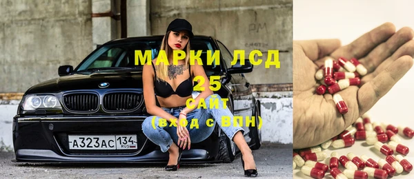 мяу мяу мука Баксан