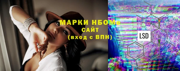 индика Балахна