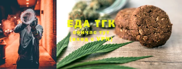 индика Балахна
