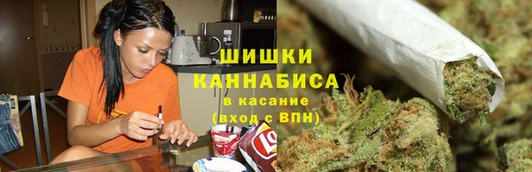 гашик Арсеньев