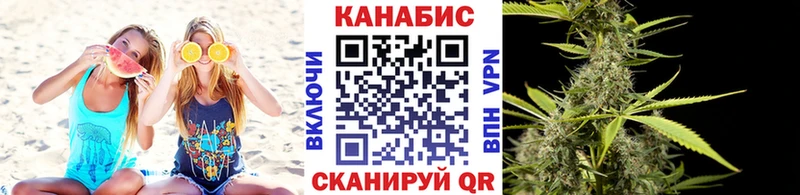 хочу наркоту  Пудож  Бошки марихуана семена 